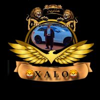 xal2o