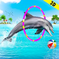 son original - Dolphin Trainer