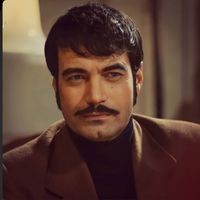 absolute_demir