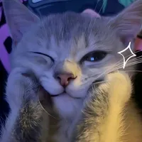 original sound - kamatru