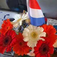 origineel geluid
