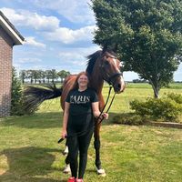 mijn.paarden.leven_xx