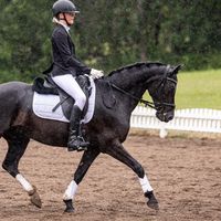 ponyrytter.lina