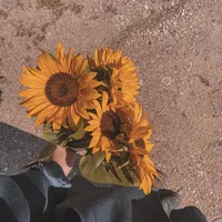 original sound - tashabooks