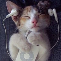 ghetto prinsessa av jaffar byn