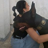 lady.and.the.dobermann