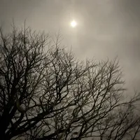 original sound - iclstyle