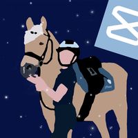 novaequestriancenter