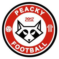 peackyfootballshop