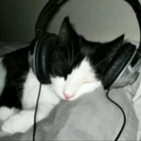jackie_songs