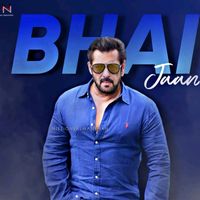 beingsalmankhan.2728