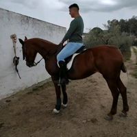 frann.romeroo_07
