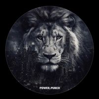 power.punch.instagram