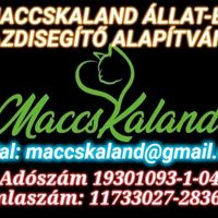 maccskalandalapitvany