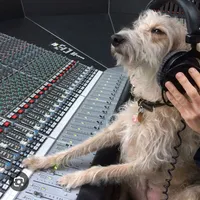 original sound - mashupdog