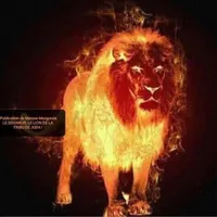 original sound - mrsmadja