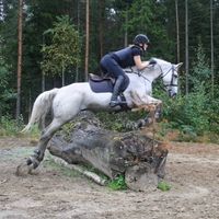 eq_saraaa
