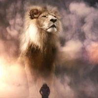 sportingclubedeportugal9