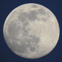 simp4moon