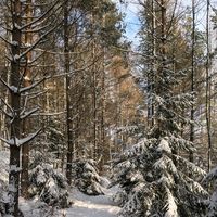 Originalton - Ostrock