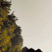 luca.0262