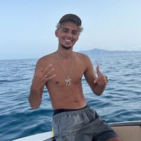 chams_live