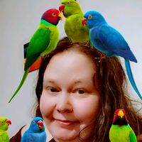 alkuperäinen ääni