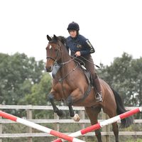 laurabonnerbow88