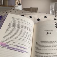 ellas_novels