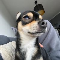 luca_christ