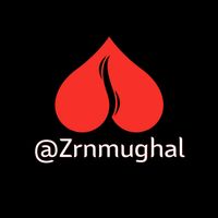 zrnmughal