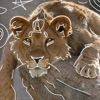 lion.heart0160