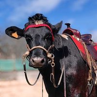 1agriculteurparjour