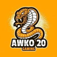 awko20
