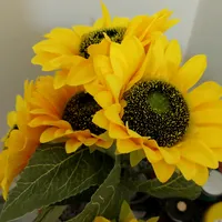 original sound - joan.jarabilo