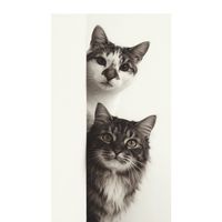 animal_love_xxxx