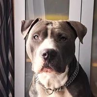 original sound - cichy.amar