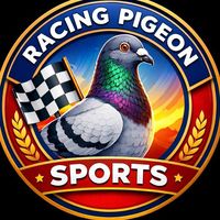 racingpigeonsports