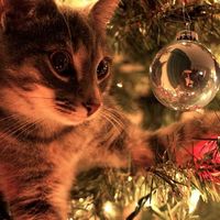 santachristmaswinter