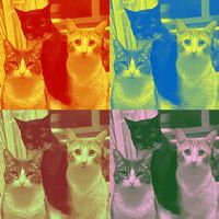 death bed by Bongo Cat