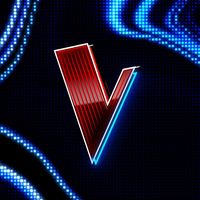 origineel geluid - The Voice of Holland
