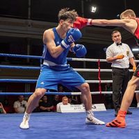 оригинальный звук