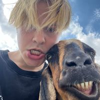 alkuperäinen ääni