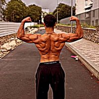 الصوت الأصلي