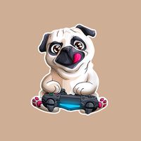 itsgamingpug