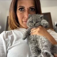 aenariacattery