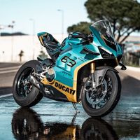son original - papillon.moto