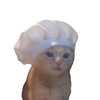 mrcatcooks