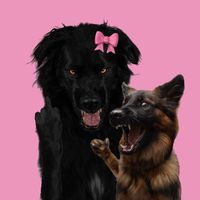 bear.and.his.shepherd