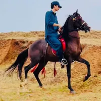 original sound - nadeemakram506